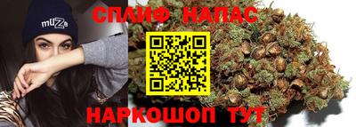 прущая мука Ачхой-Мартан