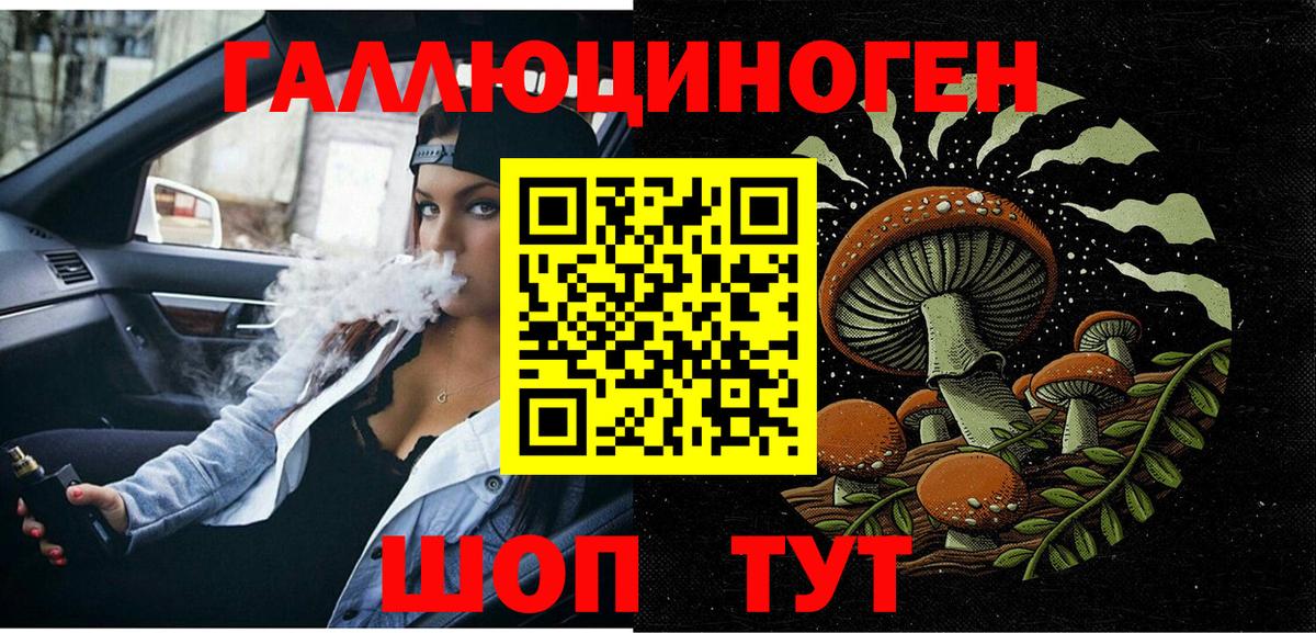 Скопин  Галлюциногенные грибы Psilocybine cubensis  Вход с VPN 